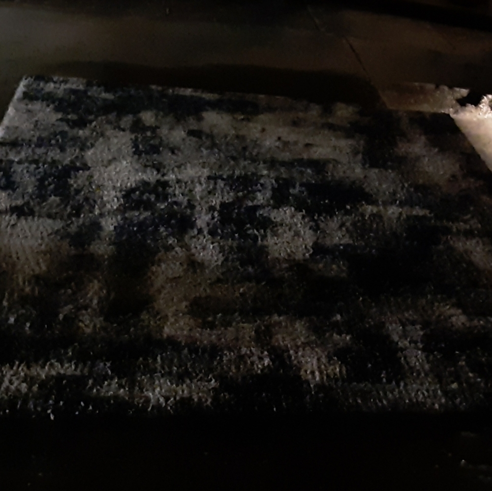 AREA RUG AND PERSIAN RUG CLEANING. - Picture 3 of 4